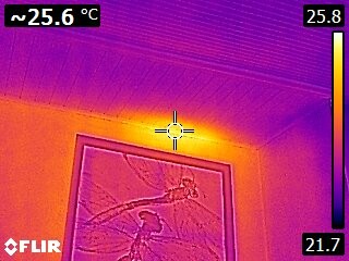 guêpes-mur-caméra-thermique.