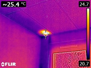 Nid de guêpes-plafond-caméra thermique